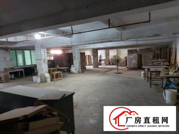  莞樟路边鸿图广场附近车间或仓库900——1800平方米左右！