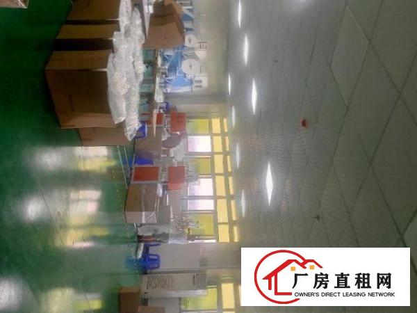  寮步标准厂房一楼2700平方，交通非常便利