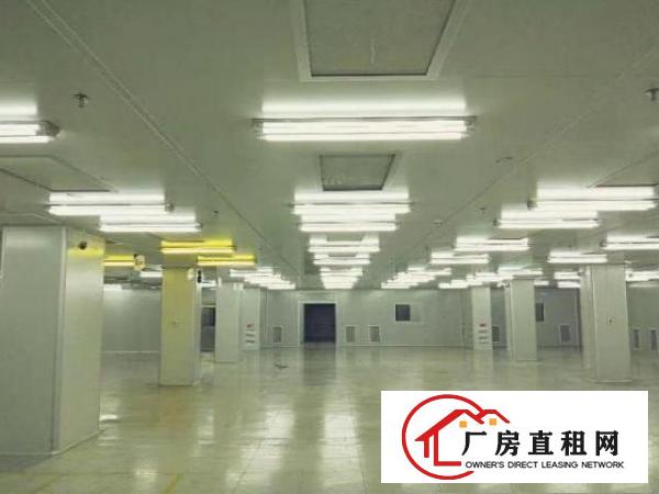  带现成无尘车间独门独院厂房招租