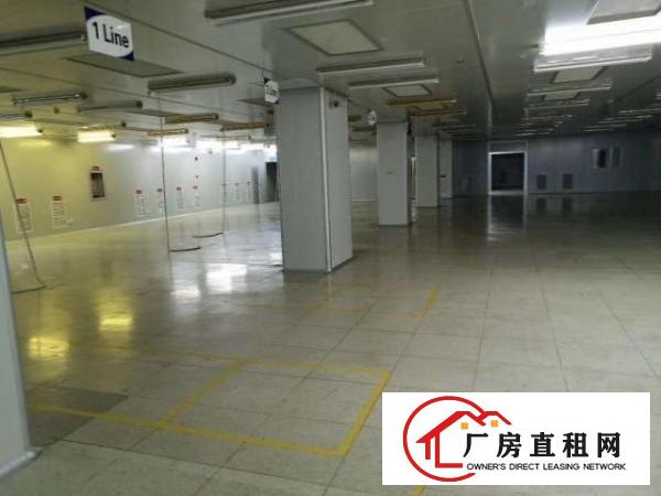  带现成无尘车间独门独院厂房招租