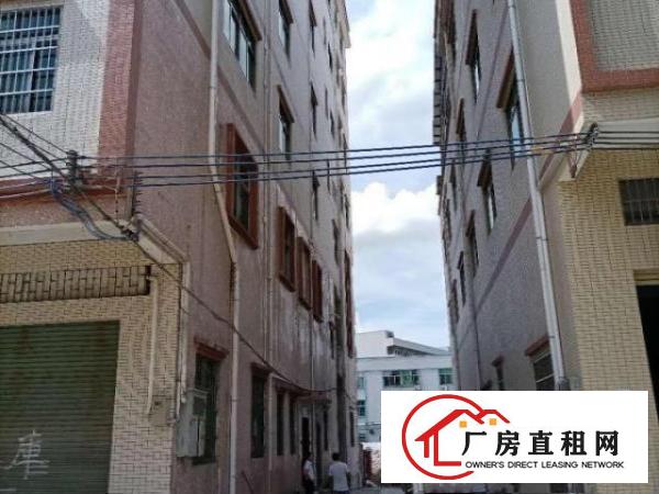  寮步岭厦村独栋新工业厂房（共七层）可分租