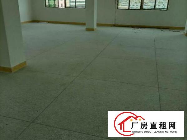 寮步岭厦村独栋新工业厂房（共七层）可分租