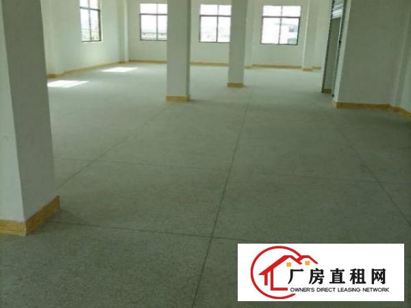  寮步岭厦村独栋新工业厂房（共七层）可分租