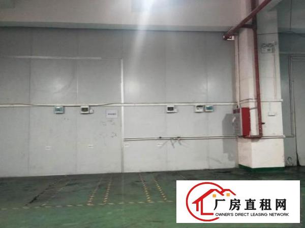  拎包入住厂房，不用任何二次装修