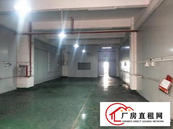  拎包入住厂房，不用任何二次装修