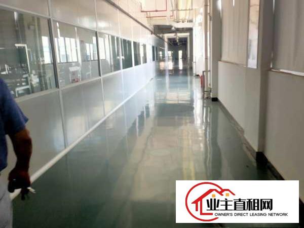  寮步镇新出原房东3层22000平方形象