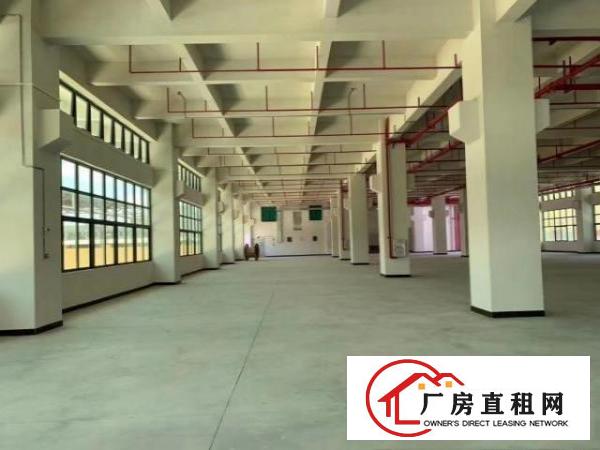  东莞市寮步镇香市科技园附近新出原房东独门独院花园式厂房出租