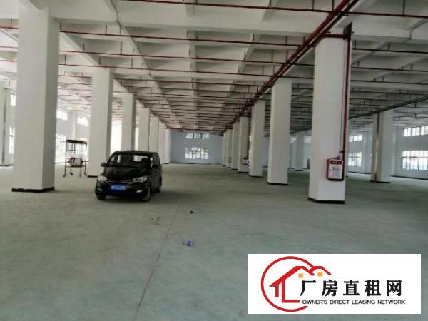  寮步镇新出原房东分租一楼1200平方