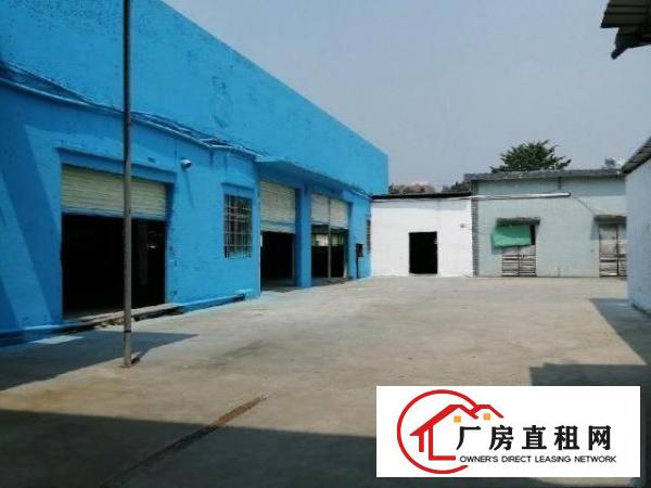  寮步镇新出原房东独院厂房