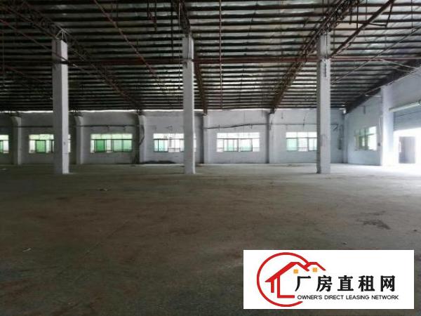  寮步镇新出原房东独院厂房