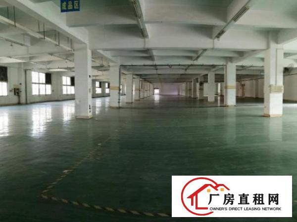  寮步新出楼上900平米