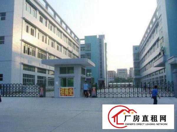 出租寮步镇新出原房东带装修四层可分租