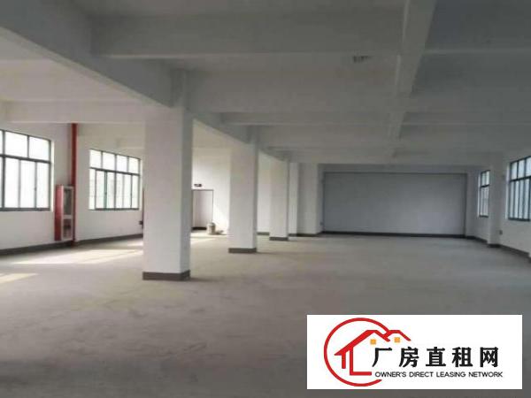  出租寮步镇新出原房东带装修四层可分租