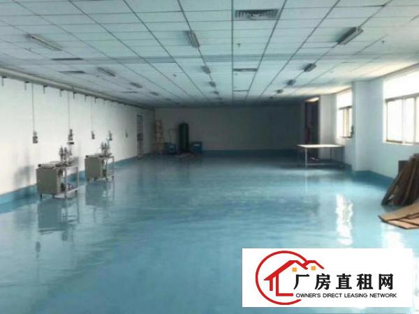  实际面积独门独院，分租二楼一层实际面积精装修，空地大停车便利