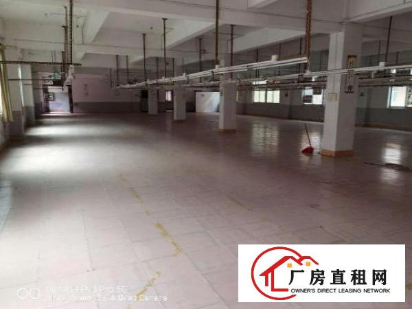  寮步石龙坑独栋厂房三层2400平方，