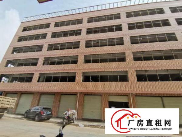  寮步中心区域自建厂房900/层12元/㎡起租