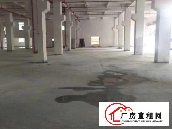 寮步自建全新重工业厂房招租