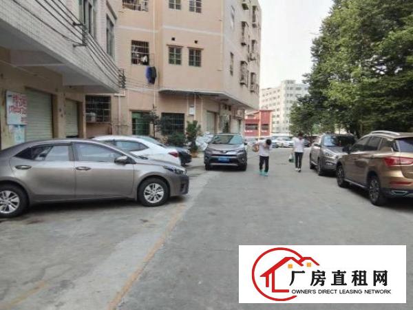  自家的房出租位置优越