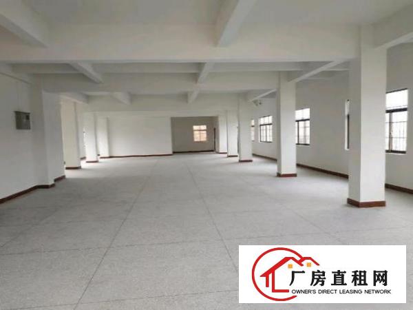  房东出租350平方电梯厂房