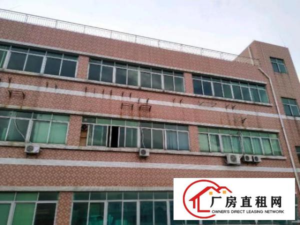  石大路边松山湖旁原房东整层厂房工厂适合电子商务小加工可注册
