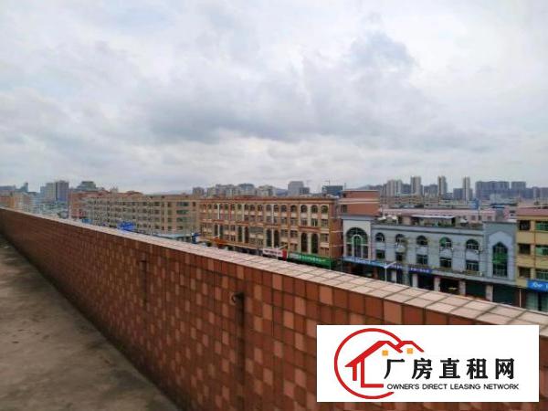 石大路边小型厂房出租赁电子商务小加工仓库可注册配2吨货梯