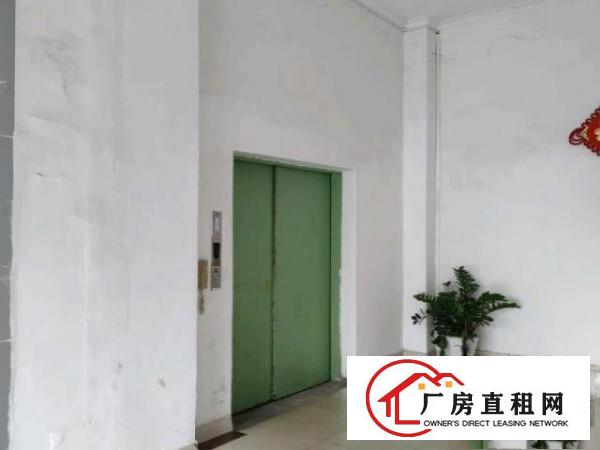  石大路边小型厂房出租赁电子商务小加工仓库可注册配2吨货梯