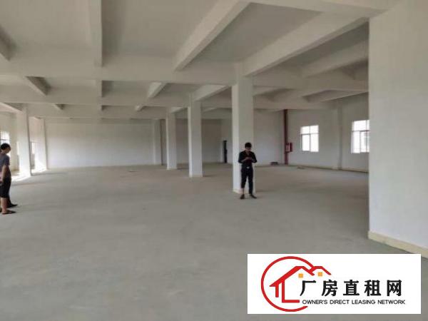  新房源，价格实惠，