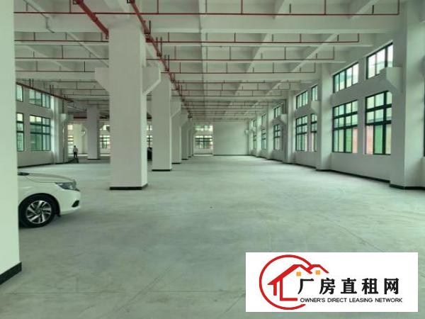  寮步新工业园区厂房全新原房东出租大小面积可分