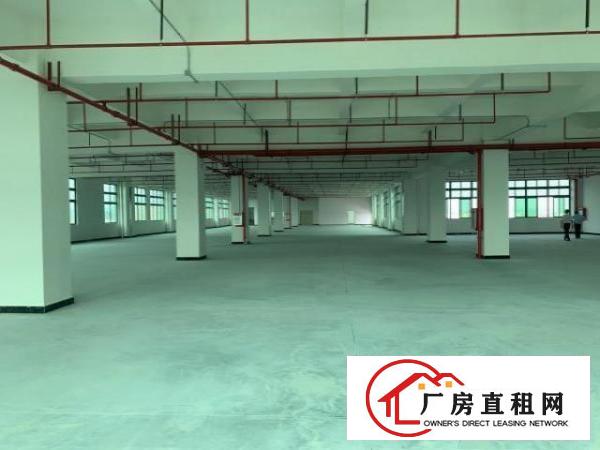 寮步新工业园区厂房全新原房东出租大小面积可分
