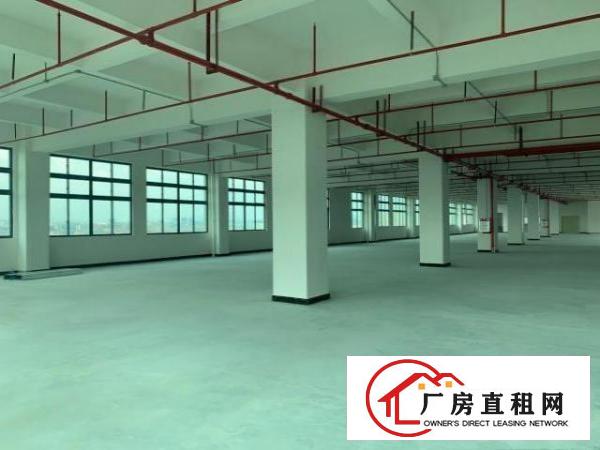 寮步新工业园区厂房全新原房东出租大小面积可分