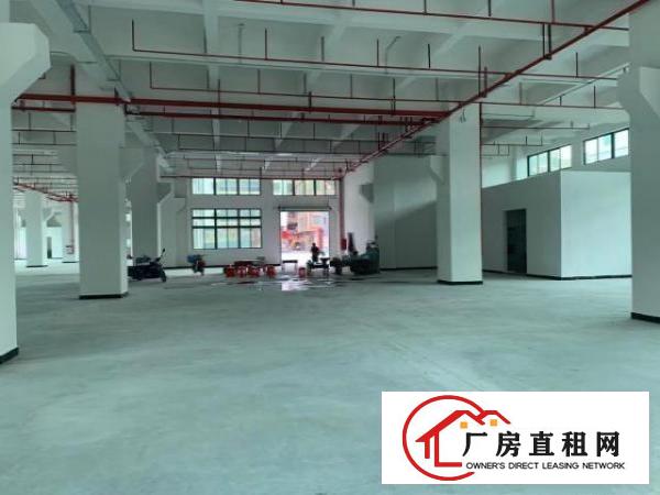 新建厂房，可办环评，价格实惠。