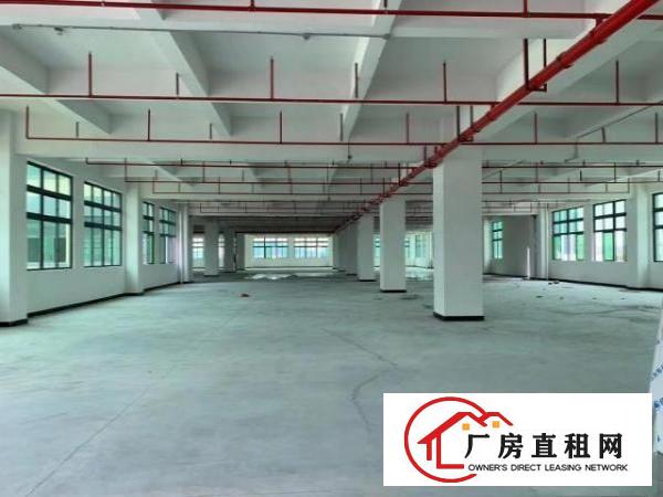  新建厂房，可办环评，价格实惠。