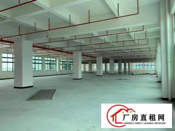  新建厂房，可办环评，价格实惠。