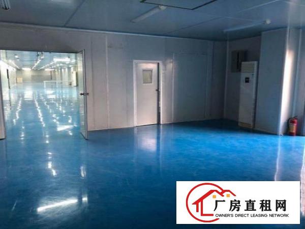  寮步镇1600平无尘车间厂房出租无转让费
