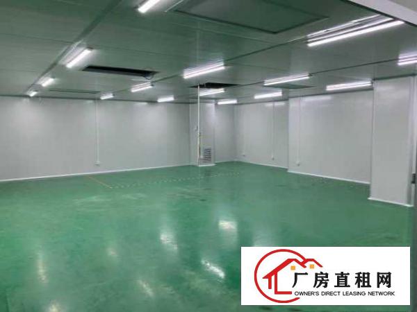  出租寮步镇寮步中心区