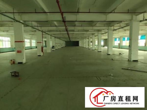  东莞寮步全新高新产业园，原房东。租客免佣