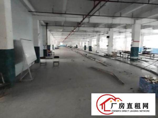 东莞寮步全新高新产业园，原房东。租客免佣