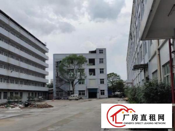  东莞寮步全新高新产业园，原房东。租客免佣