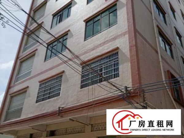 新出寮步镇岭厦全新工业厂房整栋招租