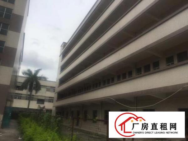  可办环评VOC排放可以独门独院厂房可分可整