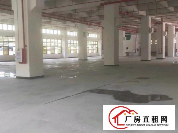  本厂房独门独院，带有办公室装修
