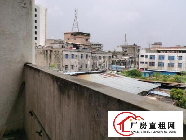  莞樟路边良平路口，可以做铺位，可以做厂房，小型加工厂