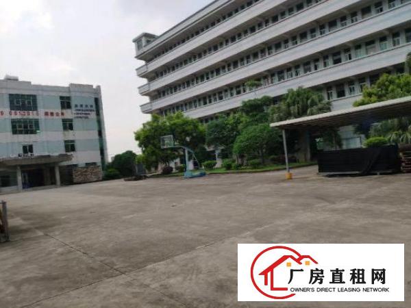  独门独院，空地大，水电齐全办公室精装修