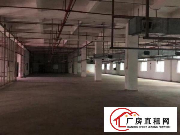  整租/分租15000平方标准独院带蒸汽管道