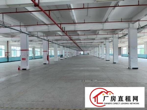  东莞市寮步镇新出形象好的厂房出租