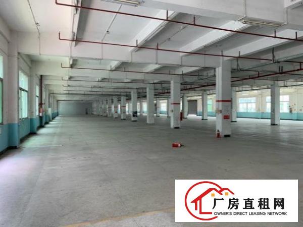  东莞市寮步镇新出形象好的厂房出租