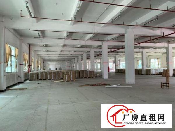  东莞市寮步镇新出形象好的厂房出租