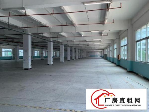  东莞市寮步镇新出形象好的厂房出租
