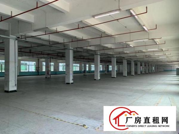  东莞市寮步镇新出形象好的厂房出租