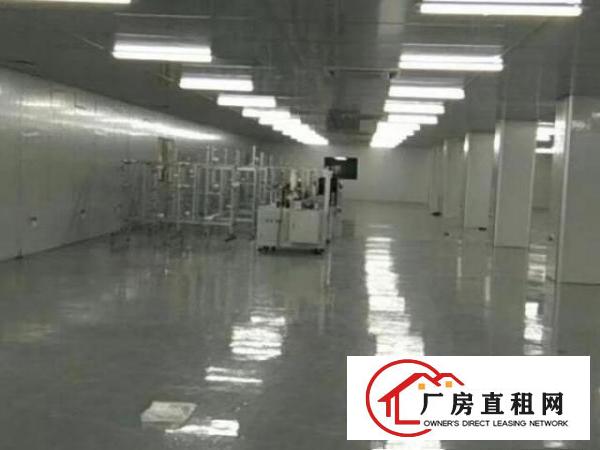  厂房面积20000平大小可分租十月一号之前租金9.5折